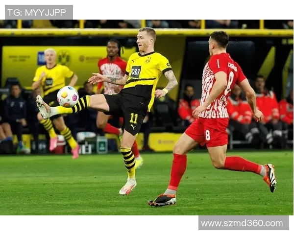 多特蒙德球迷暴力事件导致欧冠客场禁赛三场并罚款50万欧元